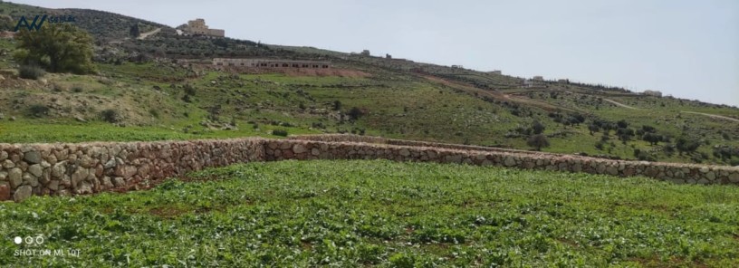 mn-almalk-mbashr-ard-fy-grsh-aanybh-alhmydy-abo-alrml-mstslhh-mstoyh-atlalh-banorama-big-1