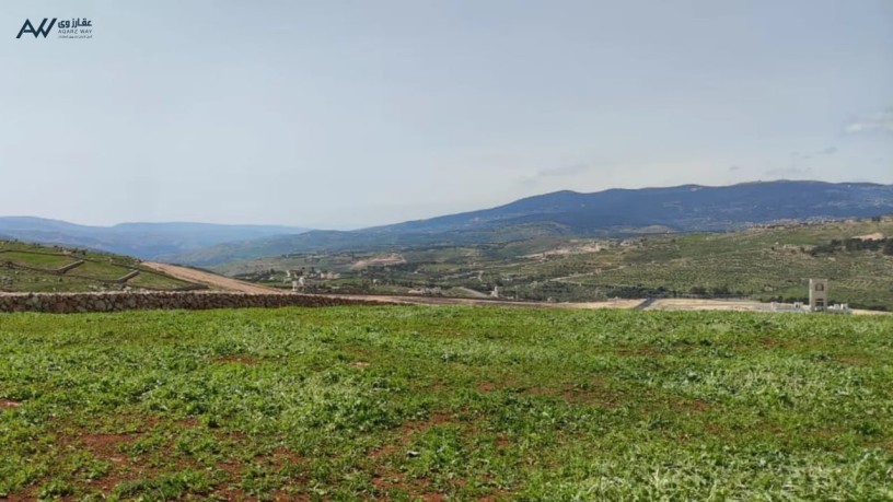 mn-almalk-mbashr-ard-fy-grsh-aanybh-alhmydy-abo-alrml-mstslhh-mstoyh-atlalh-banorama-big-0