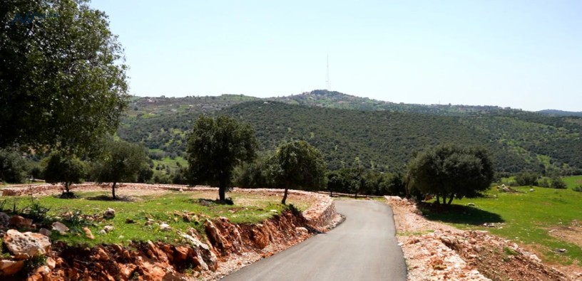 ard-mfrozh-llbyaa-big-1