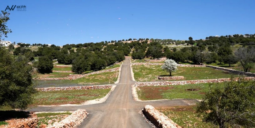 ard-mfrozh-llbyaa-big-0