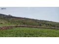 mn-almalk-mbashr-ard-fy-grsh-aanybh-alhmydy-abo-alrml-mstslhh-mstoyh-atlalh-banorama-small-1