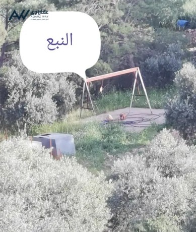 mzraa-llbyaa-20-donm-bhanbaa-khas-shrk-grsh-big-2