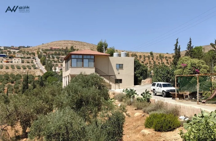 mzraa-llbyaa-20-donm-bhanbaa-khas-shrk-grsh-big-0