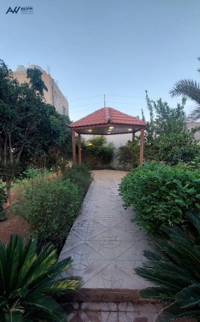 shalyh-omzraah-llaygar-fy-algofh-big-0