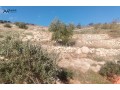 ard-mzraa-llaygar-alsnoy-small-1