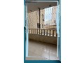shk-llaygar-mn-almalk-mbashr-fy-tbrbor-small-0