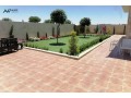 mzaraa-oshalyhat-msabh-mdfyh-fakhr-llaygar-small-4