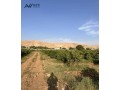 mzraa-ashgar-hmdyat-mthmr-tgaryh-llbyaa-small-0