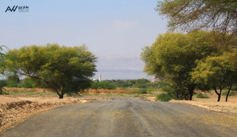 ard-mmyz-fy-albhr-almyt-mn-almalk-1900-m-big-0