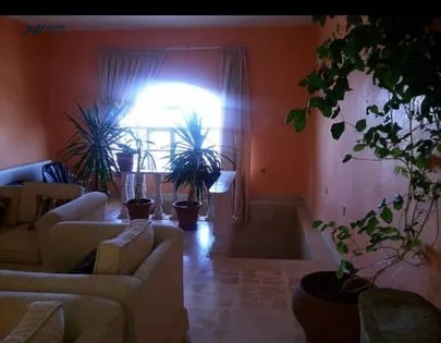 mzraa-tl-alrman-llbyaa-batlalh-sahr-gda-big-3