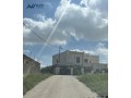 arady-mmyzh-mn-almalk-mbashrh-small-0