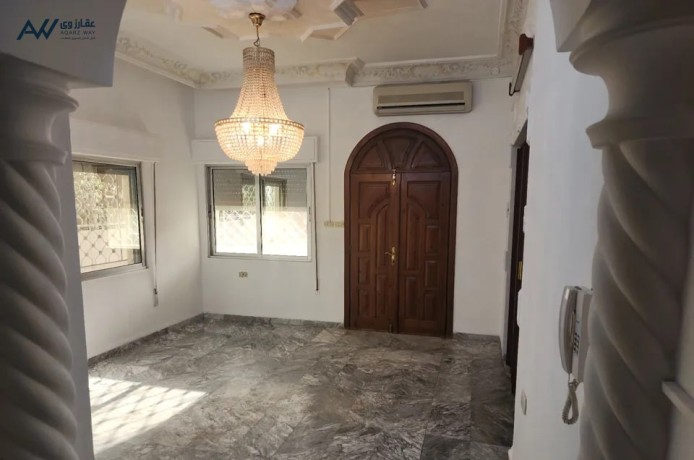 fyla-ntham-amryky-llbyaa-fy-alzrkaaa-big-0