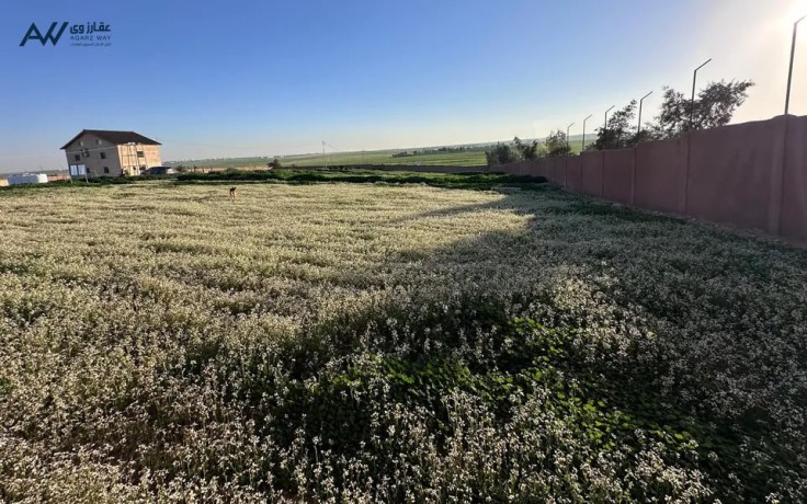 ard-llbyaa-aal-sharaayn-tryk-almtar-maa-sor-mgany-glol-6-km-mn-gsr-almtar-mn-almalk-mbashr-big-3