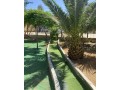 mzraa-mmyz-llbyaa-fy-mobs-tbaad-aan-sharaa-alardn-5-dkayk-small-3