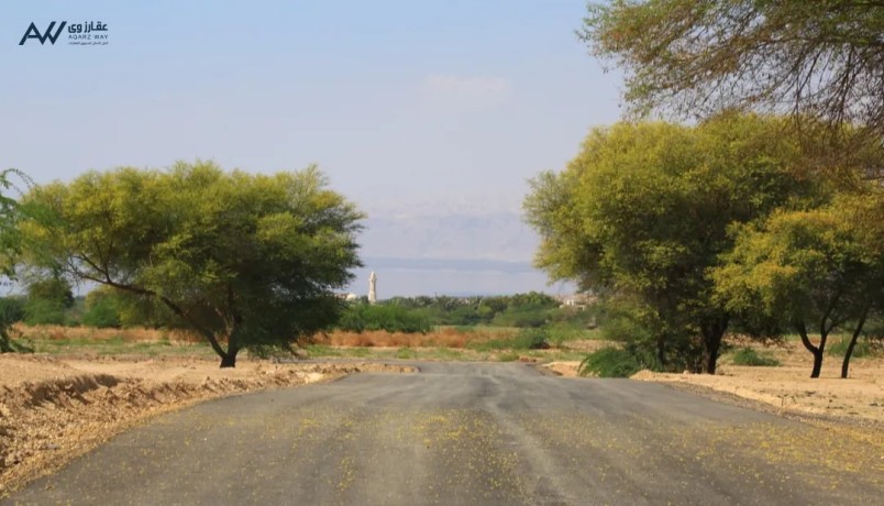 ard-mmyz-fy-albhr-almyt-mn-almalk-1900-m-big-0