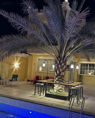 shalyh-krm-ozyd-llaygar-big-4