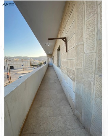 shkh-llaygar-mn-almalk-mbashr-altabk-althany-fy-aayn-albasha-big-4