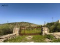 mzraa-2782-mtr-grsh-alrhmany-mokaa-mshrf-mkabl-mrkz-forst-hyl-llfrosy-small-0