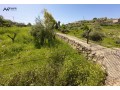 mzraa-2782-mtr-grsh-alrhmany-mokaa-mshrf-mkabl-mrkz-forst-hyl-llfrosy-small-1