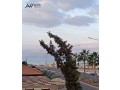 tabk3-kaml157m-fakhrh-tasaah-sharaa-alskh-atlalh-bhryh-daymh-small-0