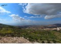 tmlk-ard-skny-balkrb-mn-sharaa-alstyn-batlal-khlab-aal-gbal-flstyn-omzroaa-zyton-small-0