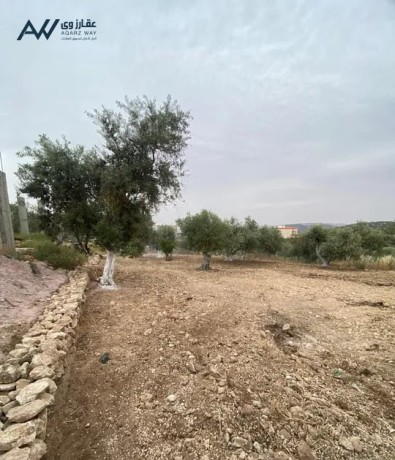 llbyaa-almstaagl-obsaar-mghry-ktaa-ard-tnthym-a-mntthm-alshkl-omstkl-aal-sharaayn-othat-atlal-khlab-big-1