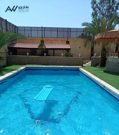 mzraa-oshalyh-roz-llaygar-alftr-big-1