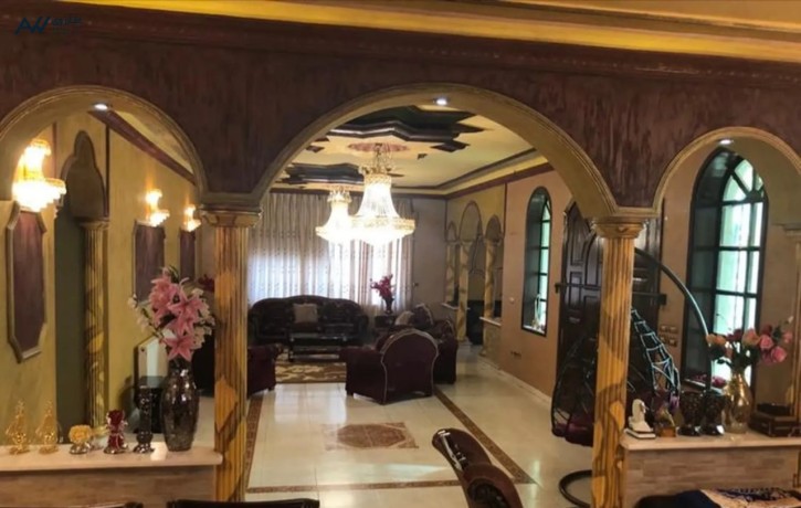 fyla-llbyaa-fy-shfa-bdran-alkom-balkrb-mn-slal-mol-mn-almalk-bdon-tdkhl-ay-osyt-bsaar-kabl-lltfaod-big-4