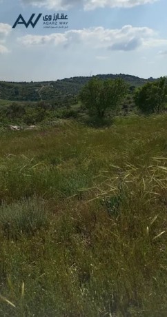 shk-astdyo-mfrosh-llaygar-alyom-oalshhr-big-4