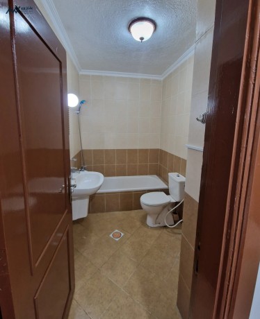 tabk-aol-albyadr-alronk-shk-132mtr-mokaa-mmyz-hady-o-kryb-mn-gmyaa-alkhdmat-bsaar-lkth-llbyaa-big-1