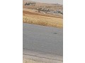 ard-llbyaa-madba-mkabl-algamaa-alamryky-mgmoaa-ktaa-arady-zraaay-mmyz-bmsah-3500-m-oasl-alkhdmat-small-0