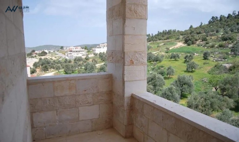 shk-gdydh-baaglon-mokaa-mmyz-gda-bsaar-mnasb-balkrb-mn-altlfryk-big-4