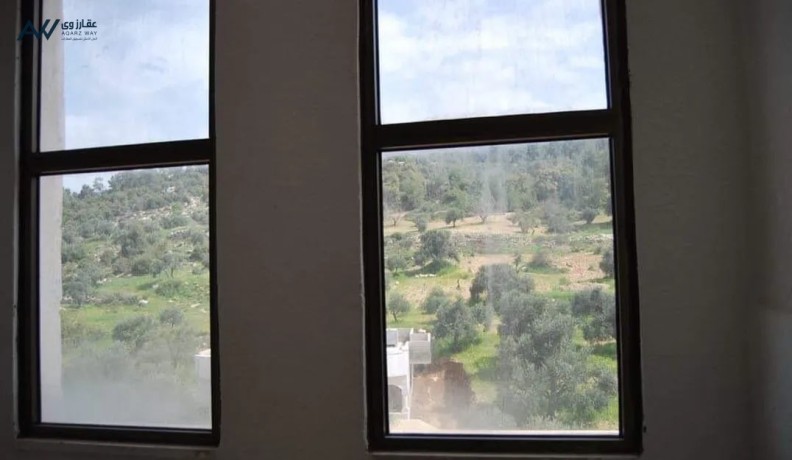 shk-gdydh-baaglon-mokaa-mmyz-gda-bsaar-mnasb-balkrb-mn-altlfryk-big-3