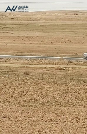 llbyaa-mn-almalk-mkhdomh-aal-sharaa-doly-aaman-alazrk-big-1