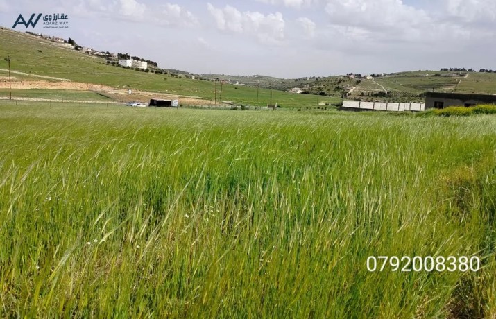 agml-ard-shlh-khsbh-trbh-hmra-shrk-grsh-big-1