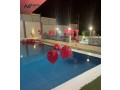 mzraah-oshalyh-ofyla-lllbyaa-small-0