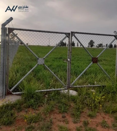 ard-mntk-maaayn-hod-aaoysy-abo-althhor-big-2