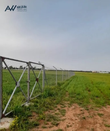 ard-mntk-maaayn-hod-aaoysy-abo-althhor-big-1