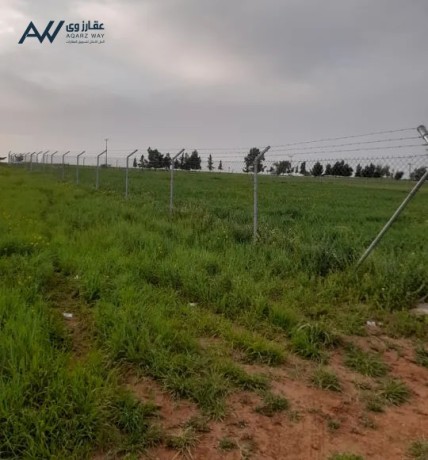 ard-mntk-maaayn-hod-aaoysy-abo-althhor-big-0