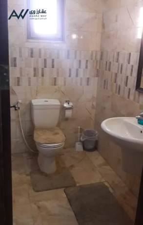 mzraah-llbyaa-madba-alfysylyh-msahh-5700m-fy-bnaaa-doblks-200m-gmyaa-alashgar-almthmrh-big-4