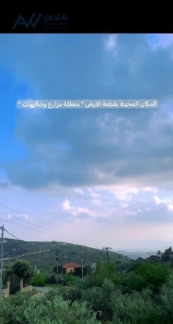 thlath-donmat-onsf-llbyaa-fy-am-zytonh-alslt-mn-almalk-mbashr-alsaar-lkaml-alktaa-big-1