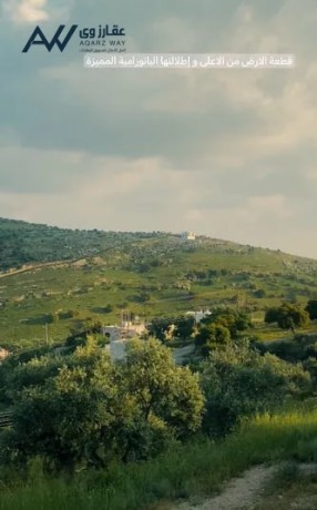 thlath-donmat-onsf-llbyaa-fy-am-zytonh-alslt-mn-almalk-mbashr-alsaar-lkaml-alktaa-big-0