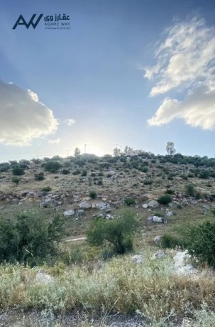 thlath-donmat-onsf-llbyaa-fy-am-zytonh-alslt-mn-almalk-mbashr-alsaar-lkaml-alktaa-big-2