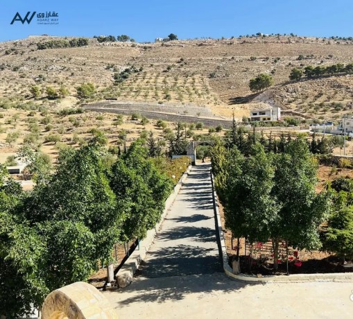 mzraa-mtlh-aal-alaghoar-ogbal-flstyn-big-1