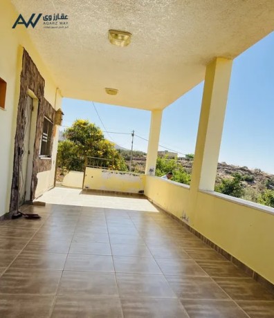 mzraa-mtlh-aal-alaghoar-ogbal-flstyn-big-2