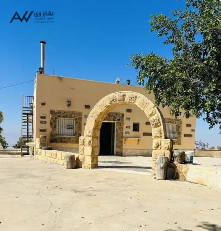 mzraa-mtlh-aal-alaghoar-ogbal-flstyn-big-0