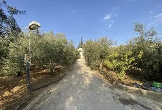 mzraah-2-dom-mn-almalk-fy-am-aldnanyr-mokaa-mmyz-big-2