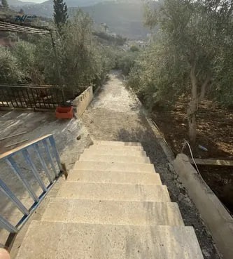 mzraah-2-dom-mn-almalk-fy-am-aldnanyr-mokaa-mmyz-big-0