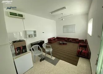 mzraah-2-dom-mn-almalk-fy-am-aldnanyr-mokaa-mmyz-big-1