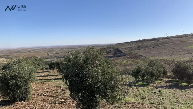 ktaa-ard-llbyaa-bsaar-mghry-fy-alkrk-big-0